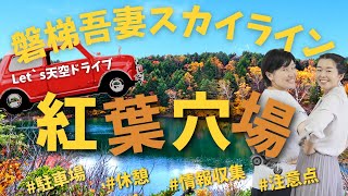 磐梯吾妻スカイラインの紅葉穴場スポット\u0026耳寄り情報！