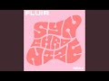 Synchronize (Fluir Remix)