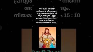 ഈ വചനം പറയു ഈ വർഷം മുഴുവനും അനുഗ്രഹം മാത്രമേ ഉണ്ടാകു..