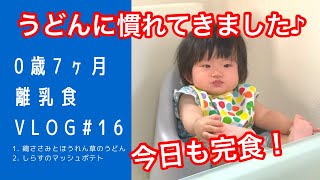 【離乳食VLOG#16】うどんにも慣れてきました♪今日も完食！【0歳7ヶ月】