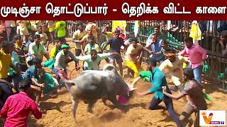 முடிஞ்சா தொட்டுப்பார் - தெறிக்க விட்ட காளை | Avaniyapuram Jallikattu 2023