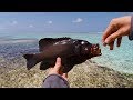 Fishing for Snapper, Emperor & Grouper in The Maldives