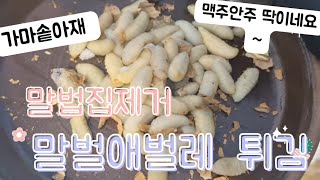 말벌집 해체하니 애벌레가 이만큼이나? -애벌레 튀김 해먹었습니다! korean cooking show (mukbang)