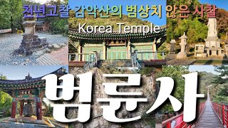 [Korea temple vlog - 범륜사]파주 감악산 기슭에 있는 천년고찰 범륜사는 신라때 세운 운계사터에 세운 사찰로, 수억년전의 화석나무와 동양최초의 관음상이 있는 곳