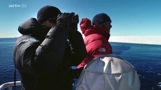 [ DOCUMENTAIRE ] Expédition Antarctica -  Sur les traces de l'Empereur [HD]