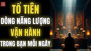 Gia Tộc - Năng Lượng Tổ Tiên Vận Hành Trong Bạn Mỗi Ngày