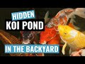 My natural looking Koi fish Pond Water Garden (two weeks old) My natural looking Koi fish Pond Water Garden (two weeks old)