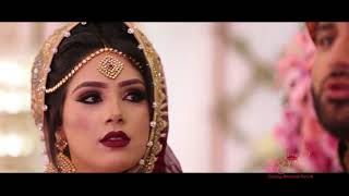 Asian Wedding Videography & Cinematography / Best wedding highlights 2017