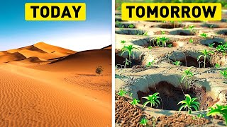 The Greening of the Sahara: Is the Desert Blooming?