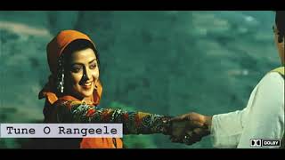 Tune O Rangeele (Audio - 5.1 Dolby Surround) Kudrat | Lata Mangeshkar, R D Burman, Love Song