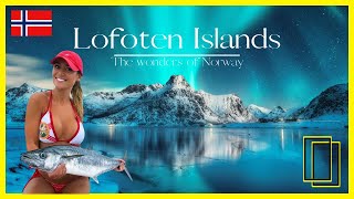 LOFOTEN ISLANDS NORWAY | Discover Nature's Masterpiece in the Arctic Circle