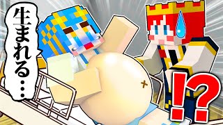 あおいちゃんが妊娠して大変なことに…!?【マイクラ / マインクラフト / Minecraft】