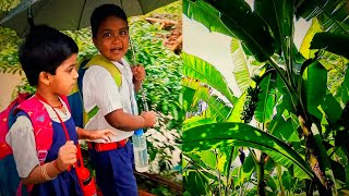 ବିନା Experiment ରେ କେବେ ସଫଳ ହୋଇପାରିବେ ନାହିଁ l Gouranga Nayak Odia Vlogs l Banana farming