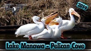 Lake Manawa -  Pelican Cove