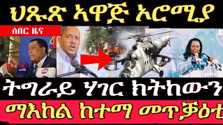 ኦሮሚያ ህጹጽ ኣዋጅ -ትግራይ ሃገር ክትከውን መን ከሊእዋ - ማእከል ከተማ ካምፓላ መጥቓዕቲ 16 November 2021