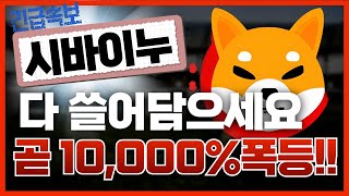 🔴시바이누, [긴급]곧 10,000%폭등🔥다 쓸어담으세요!!