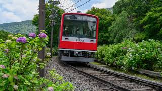 箱根登山鉄道　”あじさい電車”が走りはじめました 2160p 4K