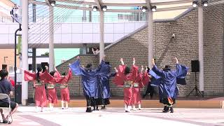 【4K】祭会　第７回いずみよさこい祭り