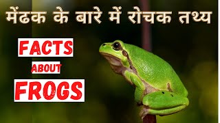 मेंढक के बारे मे रोचक जानकारी | Interesting Facts about Frogs | In Hindi