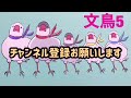 【爆笑】文鳥コント　対決！グリラ兄弟　 069