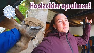 HOOIZOLDER OPRUIMEN & PROBLEEM met IJZERS en SNEEUW! ❄️