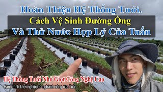 Cách Thử Nước Vệ Sinh Và Hoàn Thiện Hệ Thống Tưới Tự Động