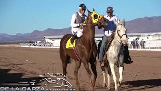 SATEVO RACE TRACK | EL CORRECAMINOS VS LA EDECAN 350 VARAS | DE LA GARZA PHOTOFINISH |