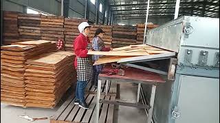 Small Veneer Drying Machine Equipment Video