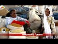 poverty corruption unemployment rise in kenya