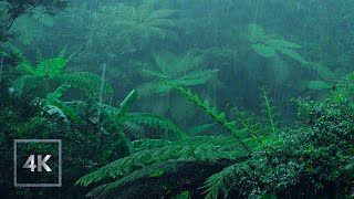 Sleep Fast with Calming Rain & Relaxing White Noise | Peaceful Rest & Relaxation, ASMR