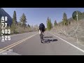 attack of the blueberry clones averaging 50 mph in mammoth