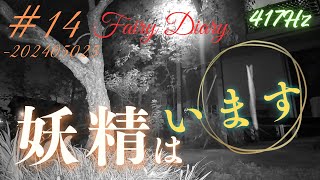 Fairy Diary【妖精観察記】#14