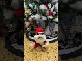 sound n light redneck christmas santa