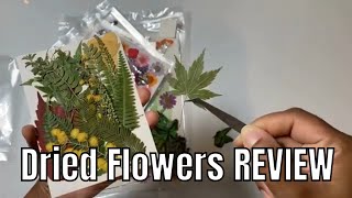 The Best Dried FLowers To Buy On Amazon