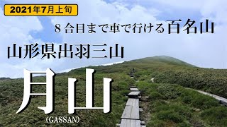 【日本百名山　月山　登山】８合目まで車で行ける百名山　花と雪渓の山