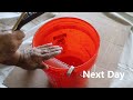 painter s trick restores old hard dry paint brushes