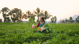 Life Of Raddish || Our Breakfast & Lunch || Village Style Traditional Cooking | The Traditional Life
