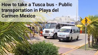 How to use public transportation in Playa del Carmen Mexico - take a ride on a Tusca bus #travel