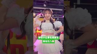 最後まで見るといいことあるかも🤭💚🎀　フル動画もUPしてます🫶🏻👀　#小川奈々子 #candytune #キスパティ #キスミーパティシエ #ライブ #アイドル #推しカメラ #チッケム