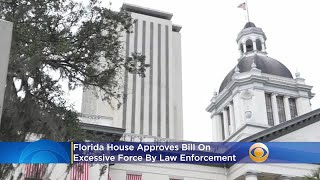 Florida House Approves Bill On Excessive Force By Law Enforcement