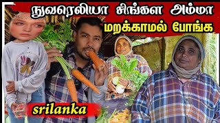 இலங்கையின் சொர்க்கம் நுவரெலியா | இவைகளை சாப்பிட மறக்க வேண்டாம்