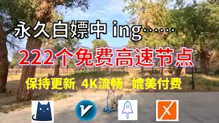 24年12月28日-1顺丰资源免费科学上网222节点meta翻墙8K视频4K，超机场VPN，Windows/mac/安卓ios、Vless小火箭Vmess小飞机Clash、V2ray、winXray