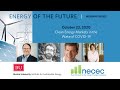 Energy of the Future: Clean Energy Markets in the Wake of COVID-19