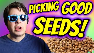 HOW TO TELL YOU GOT GOOD SEEDS!