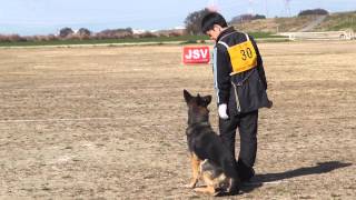 2013日本アマチュア訓練ジーガー競技会　シュラ　Ｚｐｒ服従