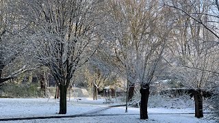 Groene Hart ontwaakt in witte wereld 1 april 2022 تساقط الثلوج في شهر ابريل هولندا🌨