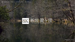 [8K footage] Niigata Ryugakubo【新潟の湧水 龍ヶ窪_8K】