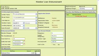 Online Microfinance software