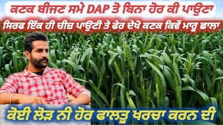 ਕਣਕ ਬੀਜਣ ਸਮੇ DAP ਤੋ ਇਲਾਵਾ ਹੋਰ ਕੀ ਪਾਉਣਾ || What to add other than DAP while sowing wheat?