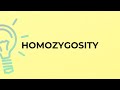 What is the meaning of the word HOMOZYGOSITY?